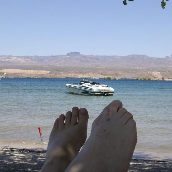 Meet your Posher, Shannon - Picture 1 of 1